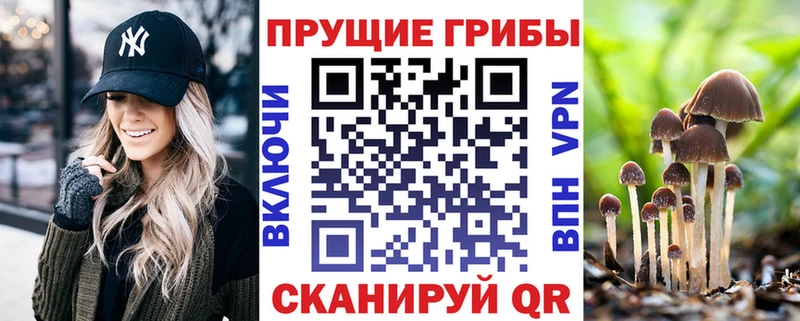 Купить закладки  Ялуторовск  Галлюциногенные грибы мухоморы 